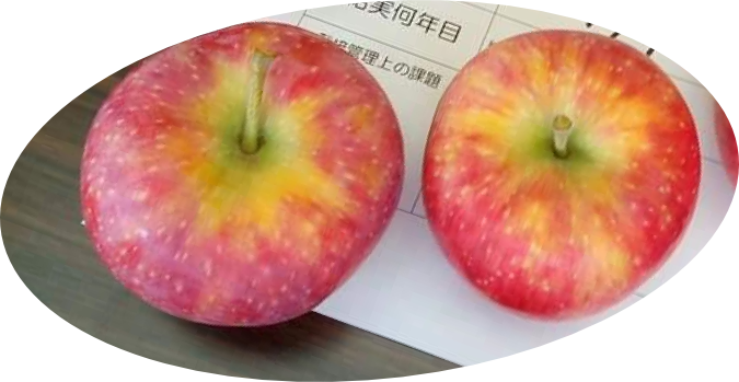 リンゴを長く楽しむために リンゴの保存方法 From Orchard